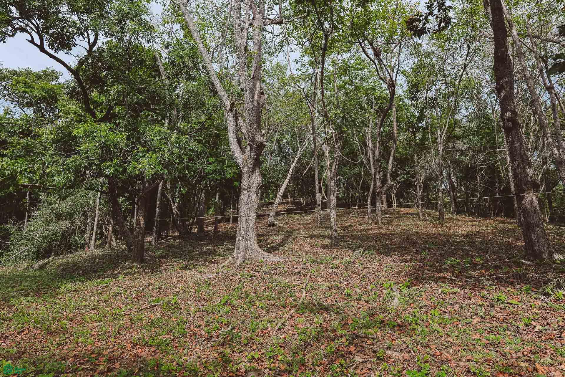  bed Land For Sale in Cuajiniquil, Guanacaste - 1