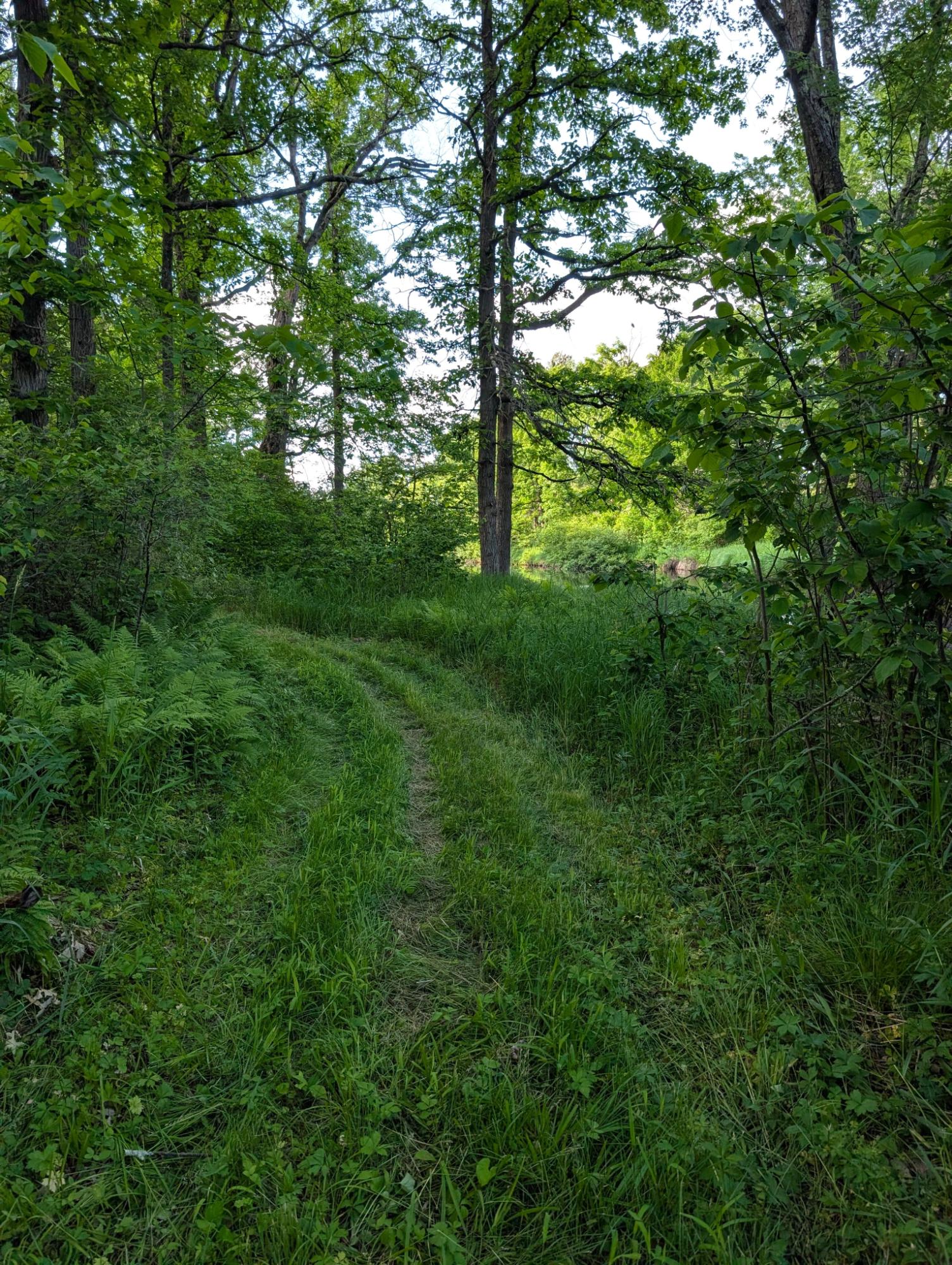 River Property Property W10429 West Forest Ln Photo 76