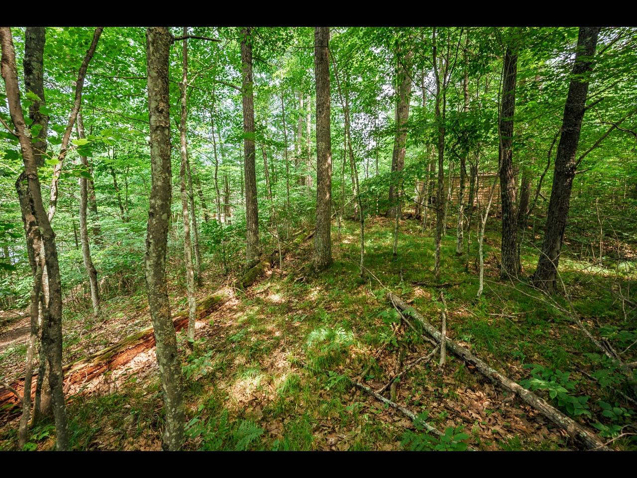 South Two Lake Property ON Bluebird Rd W Photo 15