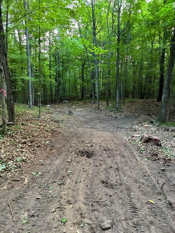 South Two Lake Property ON Bluebird Rd W Photo 3