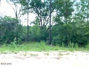 Homes for sale in Marianna, FL | 00 Bay Dr #lot 51,52, Marianna, FL 32448 | MLS# 791213