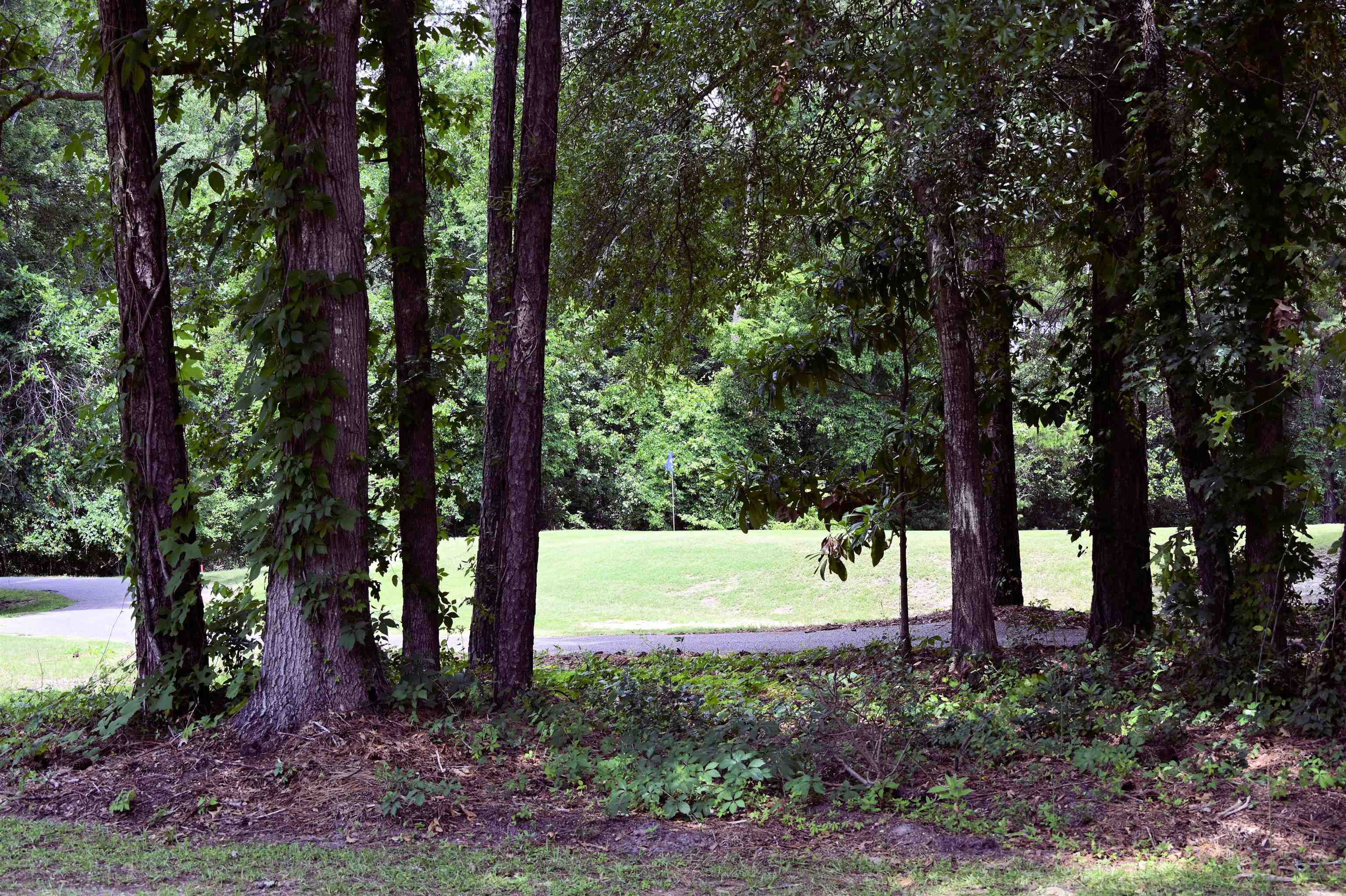2615084 | Photo 5