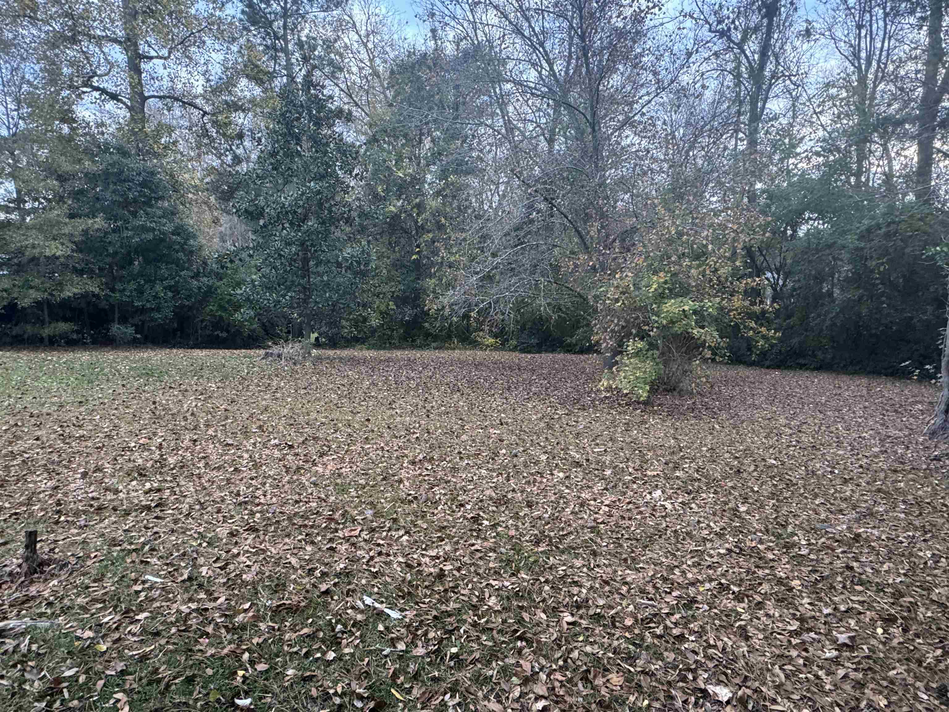 2615163 | Photo 25
