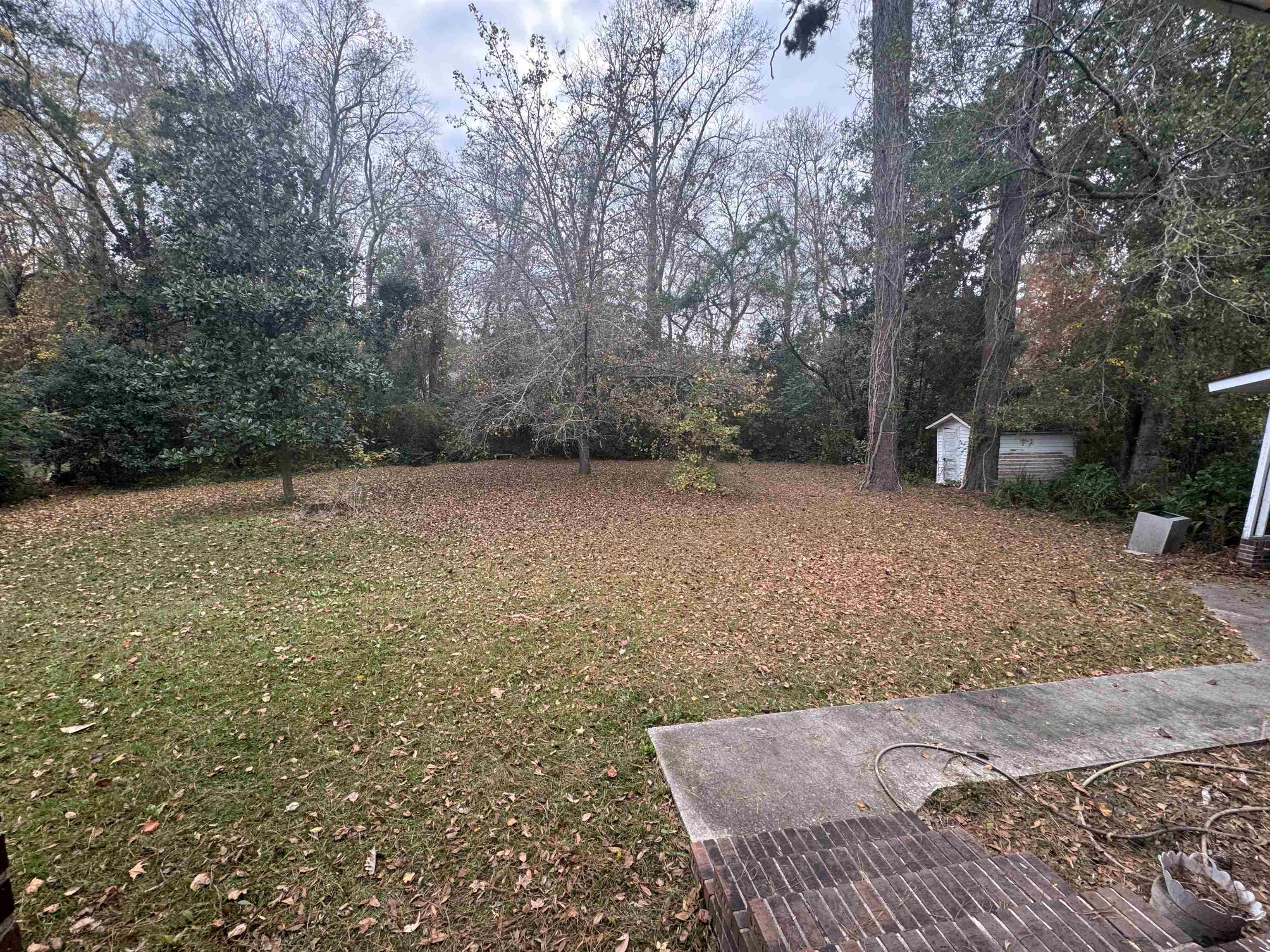 2615163 | Photo 26