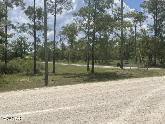 4th image of 000B Nw Lake Lillian Ave, Fountain, FL 32438 | MLS# 791320