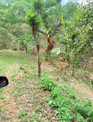  bed Land For Sale in Colón, San Jose - 1