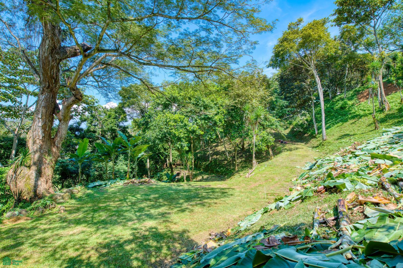  bed Land For Sale in Colón, San Jose - 1