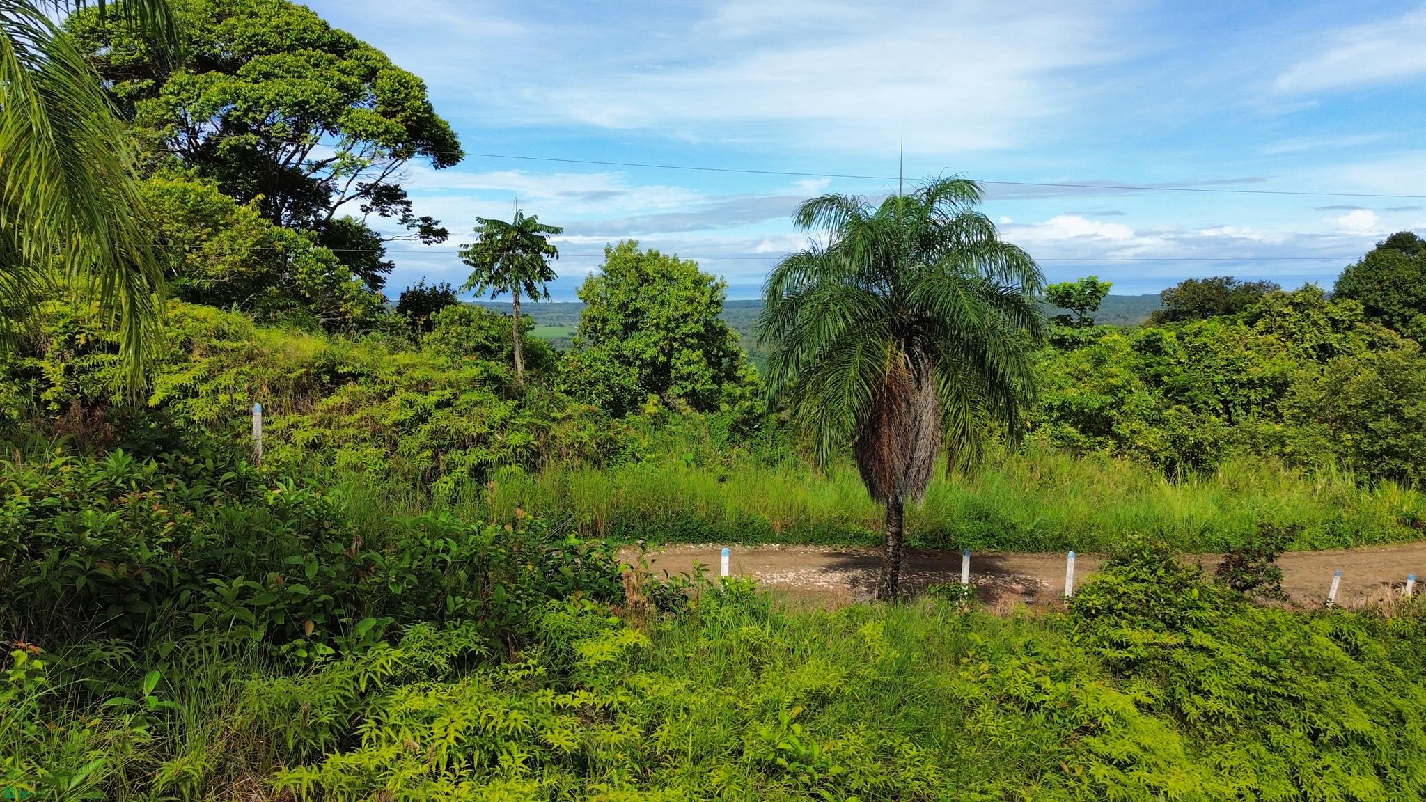 0 bed Land For Sale in Osa, Puntarenas - 1
