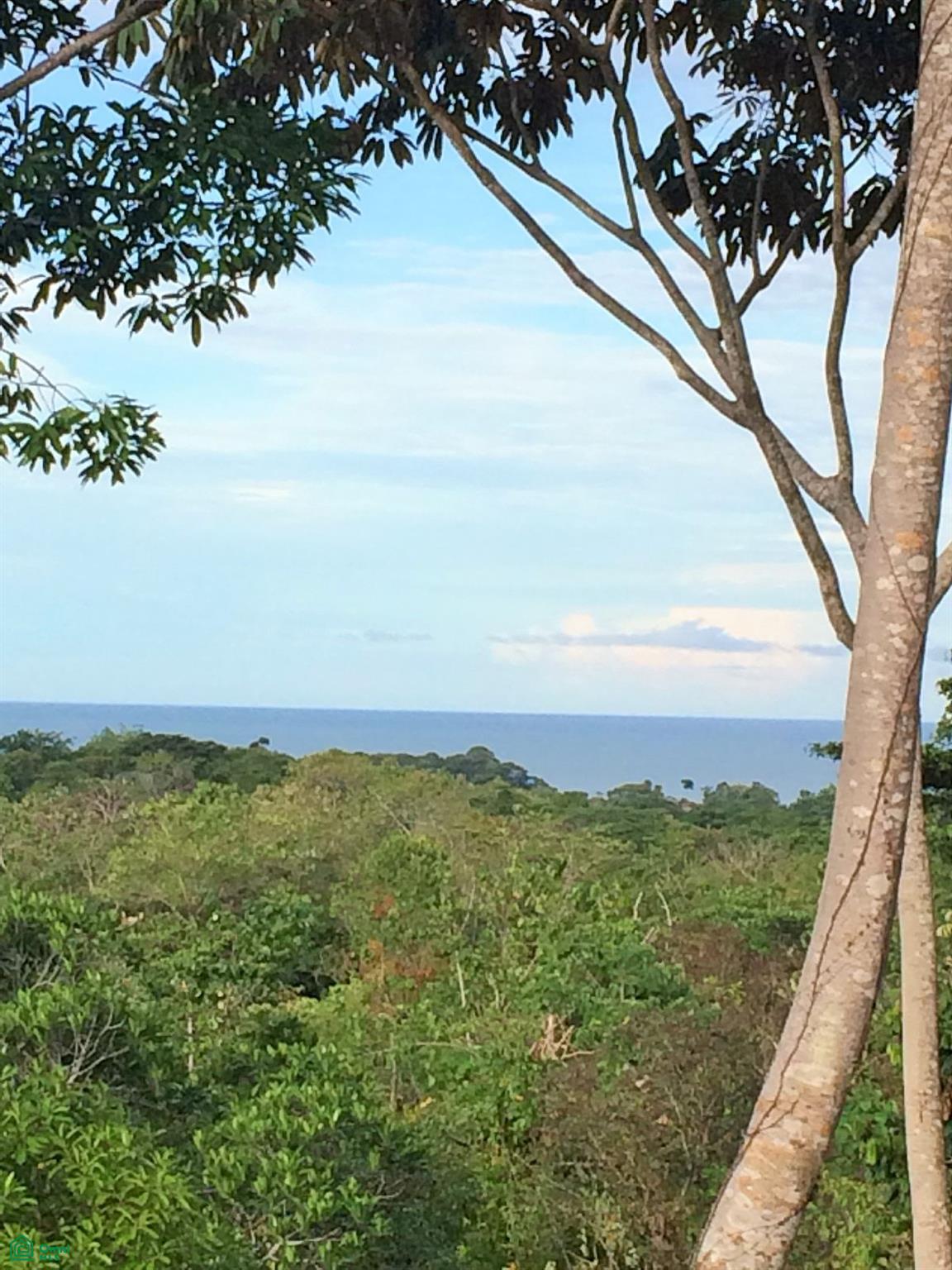 0 bed Land For Sale in Osa, Puntarenas - 1