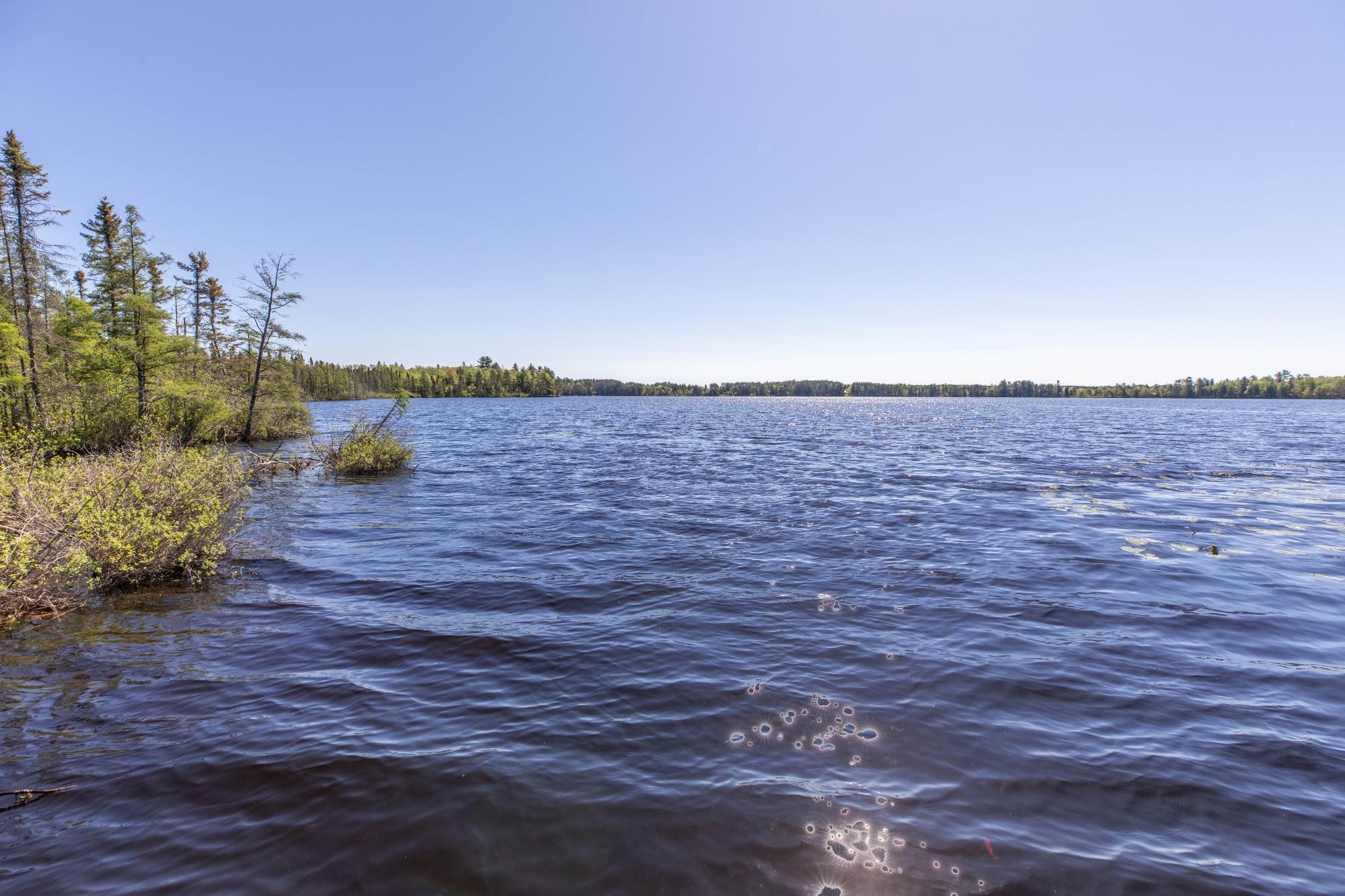 Shepard Lake Property 4186 Hwy 17 Photo 73