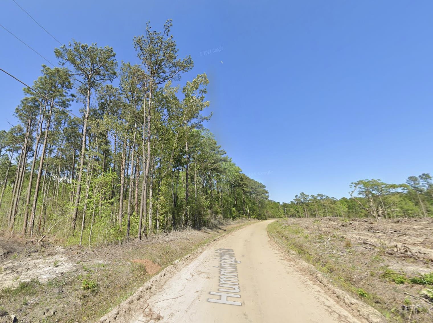1st image of Tbd Hummingbird Dr, Georgetown, SC 29440 | MLS# 2615424