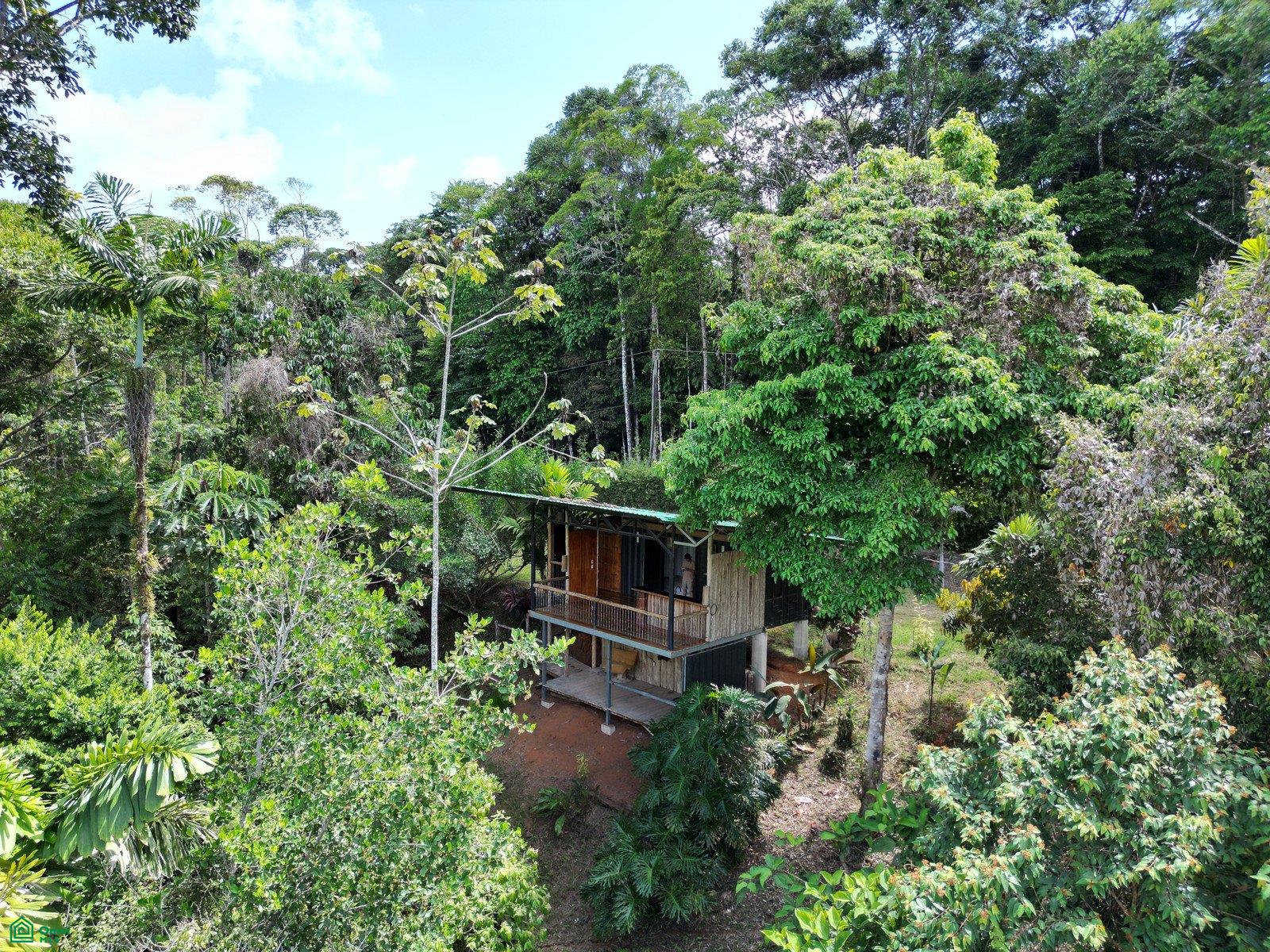  bed Land For Sale in Puntarenas, Puntarenas - 1