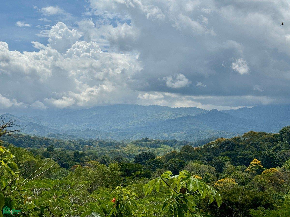  bed Land For Sale in Puntarenas, Puntarenas - 1