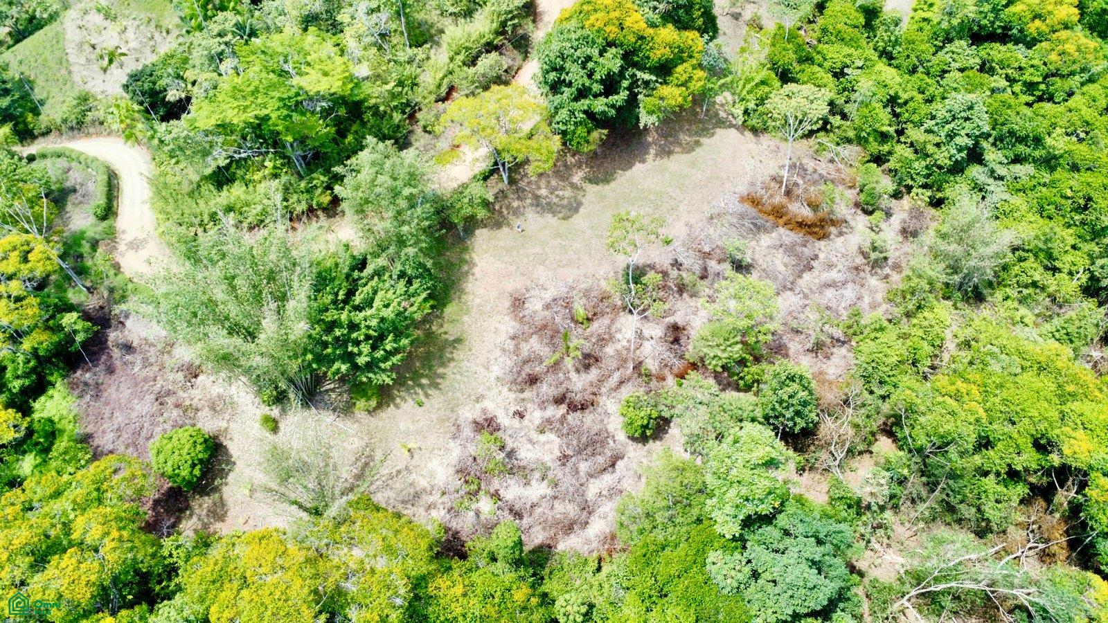  bed Land For Sale in Perez Zeledon, San Jose - 1