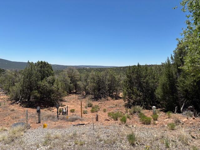 Photo 15 — 14 Galisteo Court