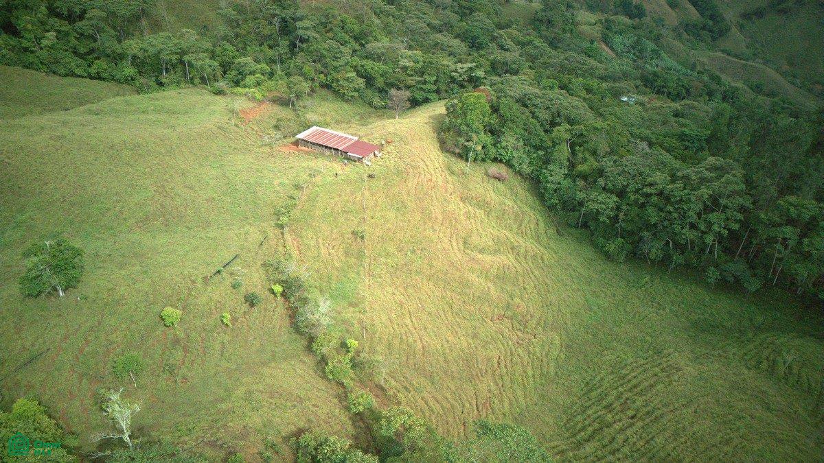  bed Land For Sale in El General, San Jose - 1