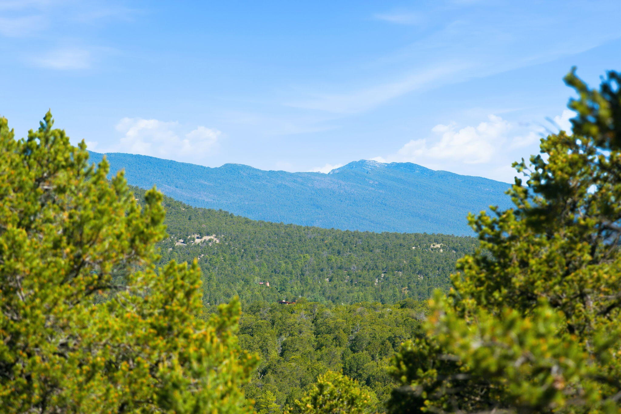 3rd image of 1 Duncan Dr, Tijeras, NM 87059 | MLS# 1105749