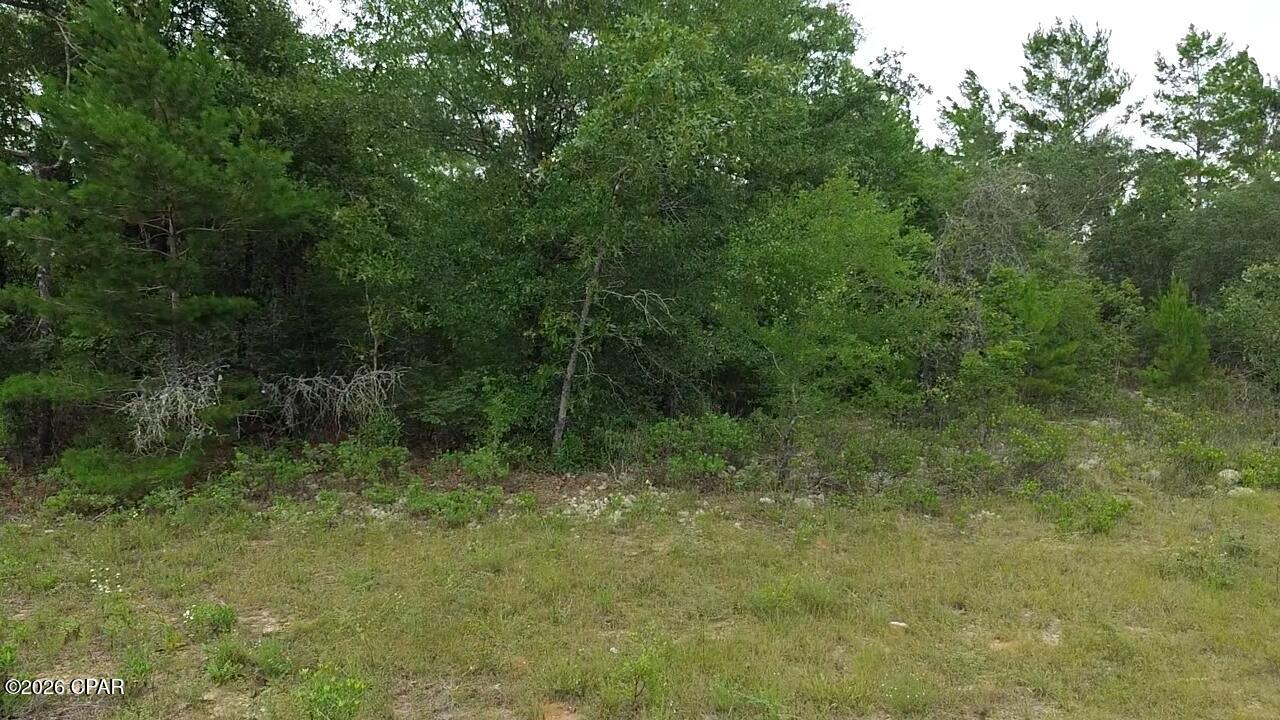 Photo 2 of Land for sale at Lot 12 Bestland Dr #11, Chipley, FL 32428 | MLS# 791546 | Listing updated on 2026-09-17