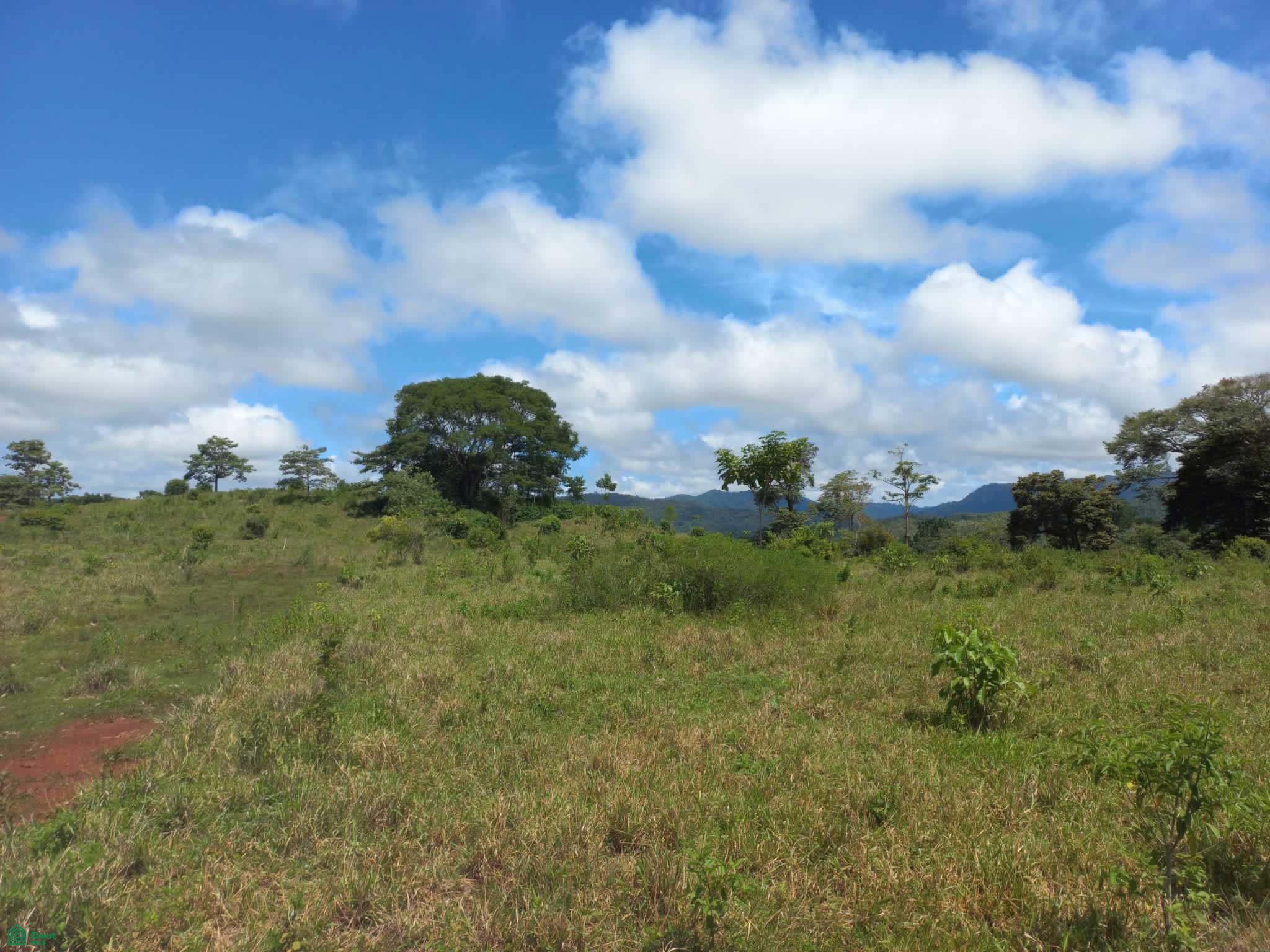  bed Land For Sale in Puntarenas, Puntarenas - 1
