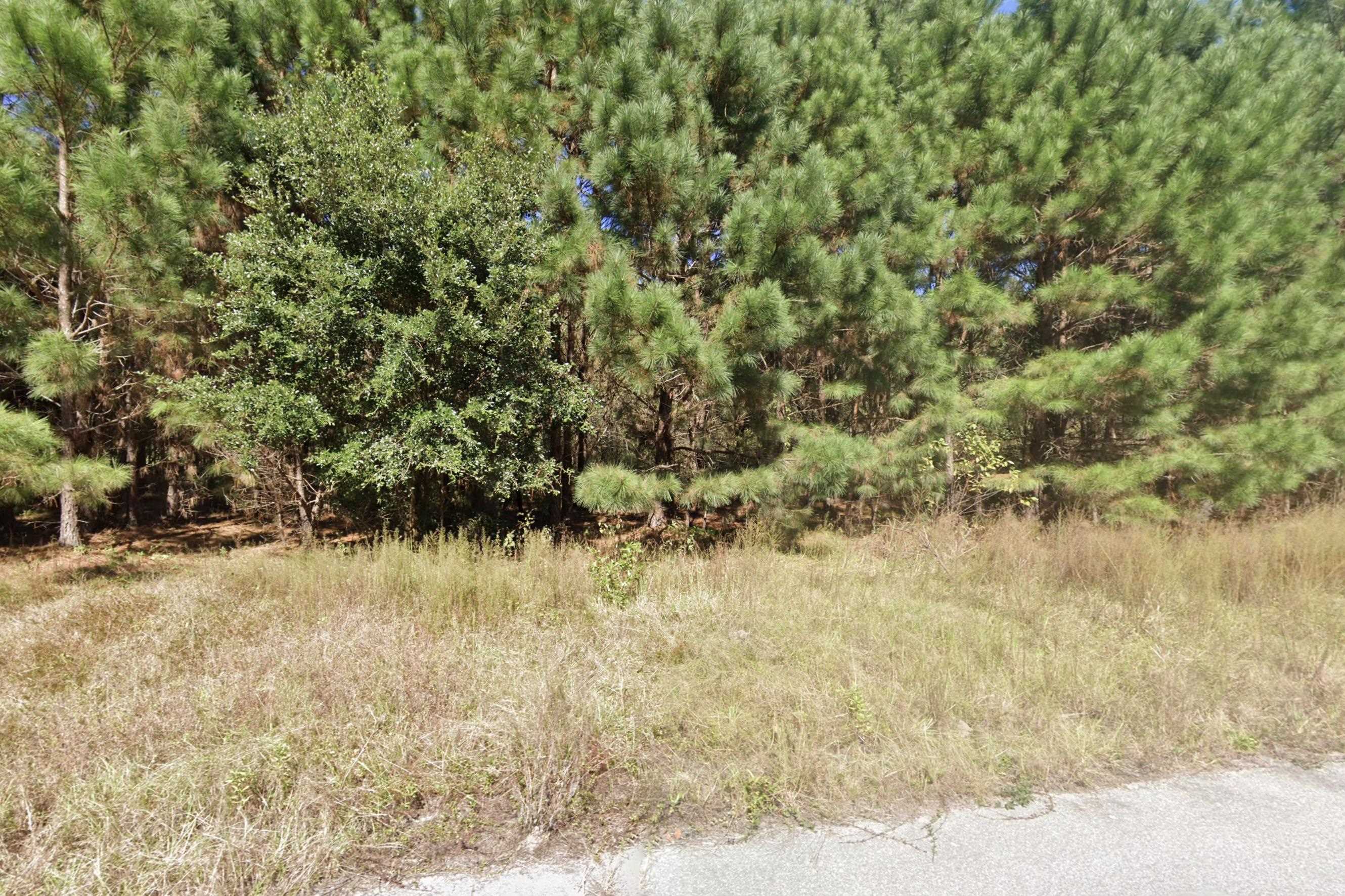 2615571 | Photo 4