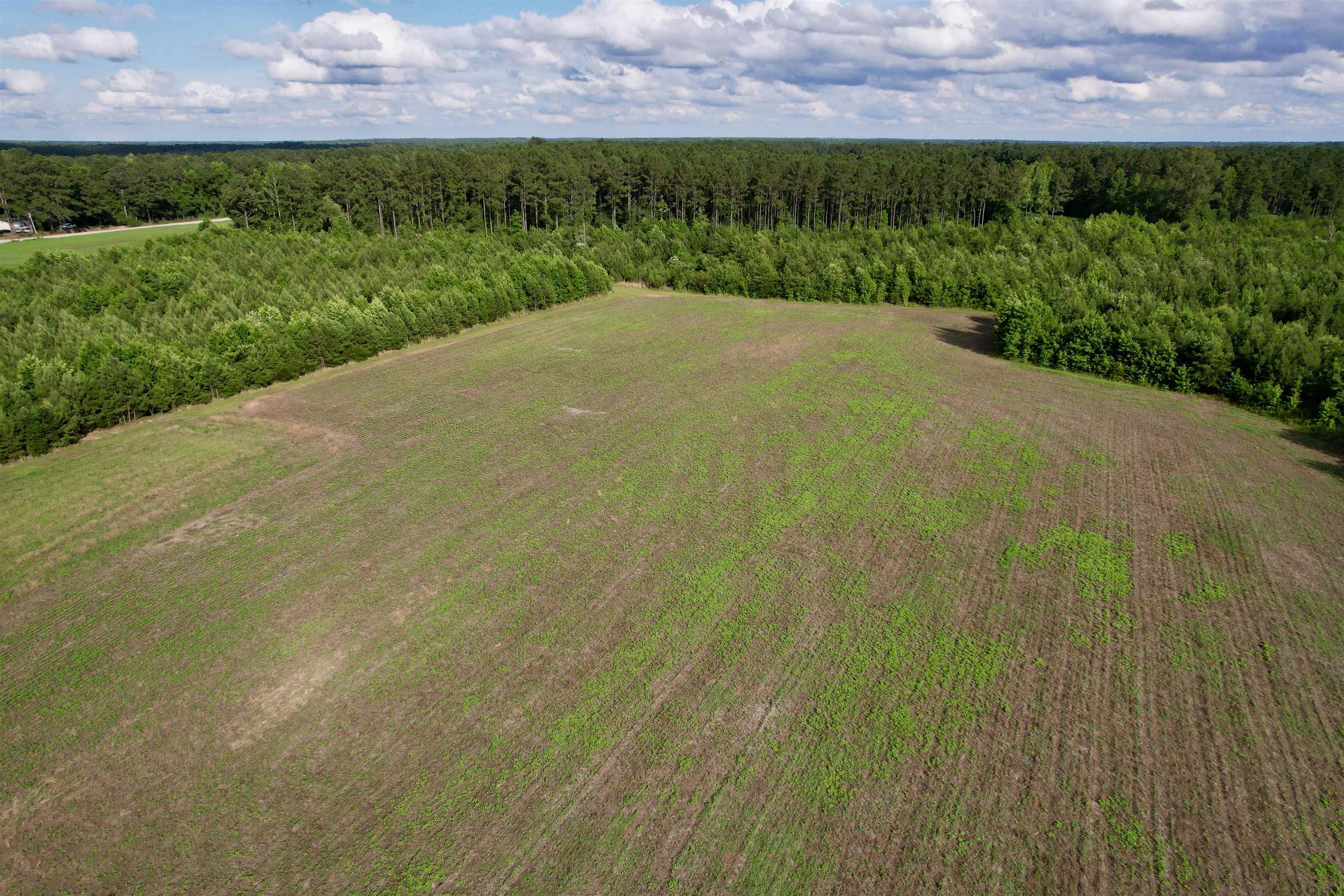 Photo 2 of Land for sale at 85± Acres   Muddy Crk Rd, Johnsonville, SC 29555 | MLS# 2615582 | Listing updated on 2026-10-15