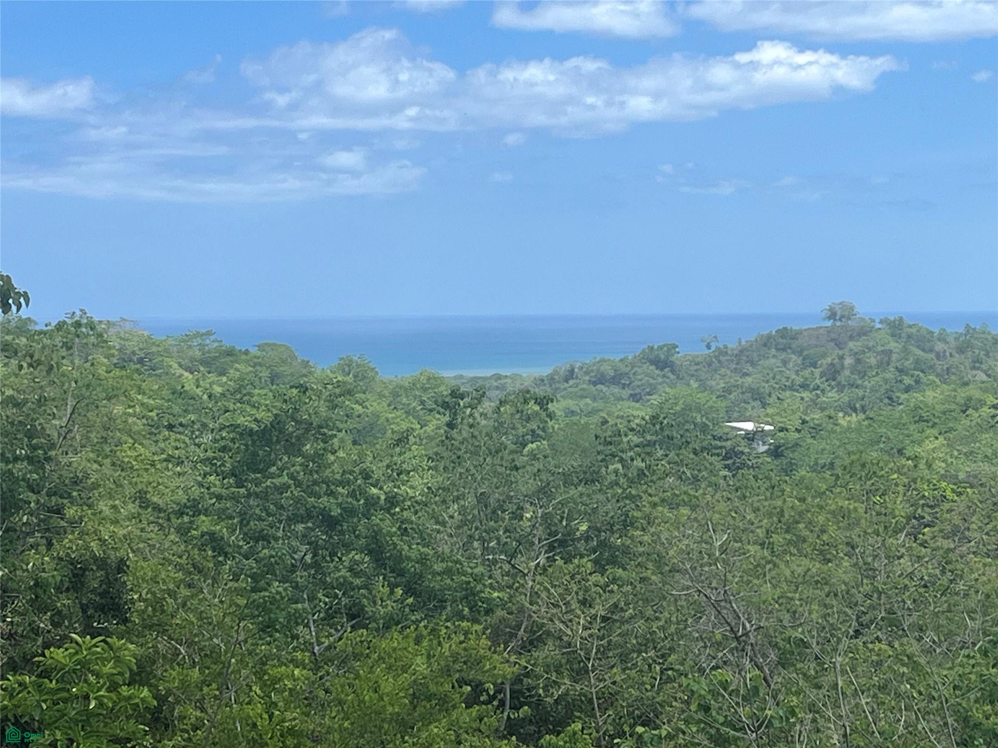 bed Land For Sale in Santa Cruz, Guanacaste - 1