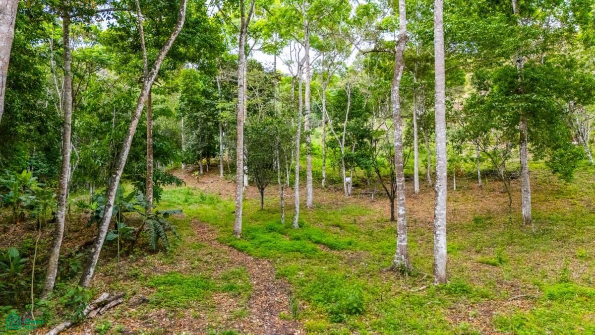 0 bed Land For Sale in Perez Zeledon, San Jose - 1