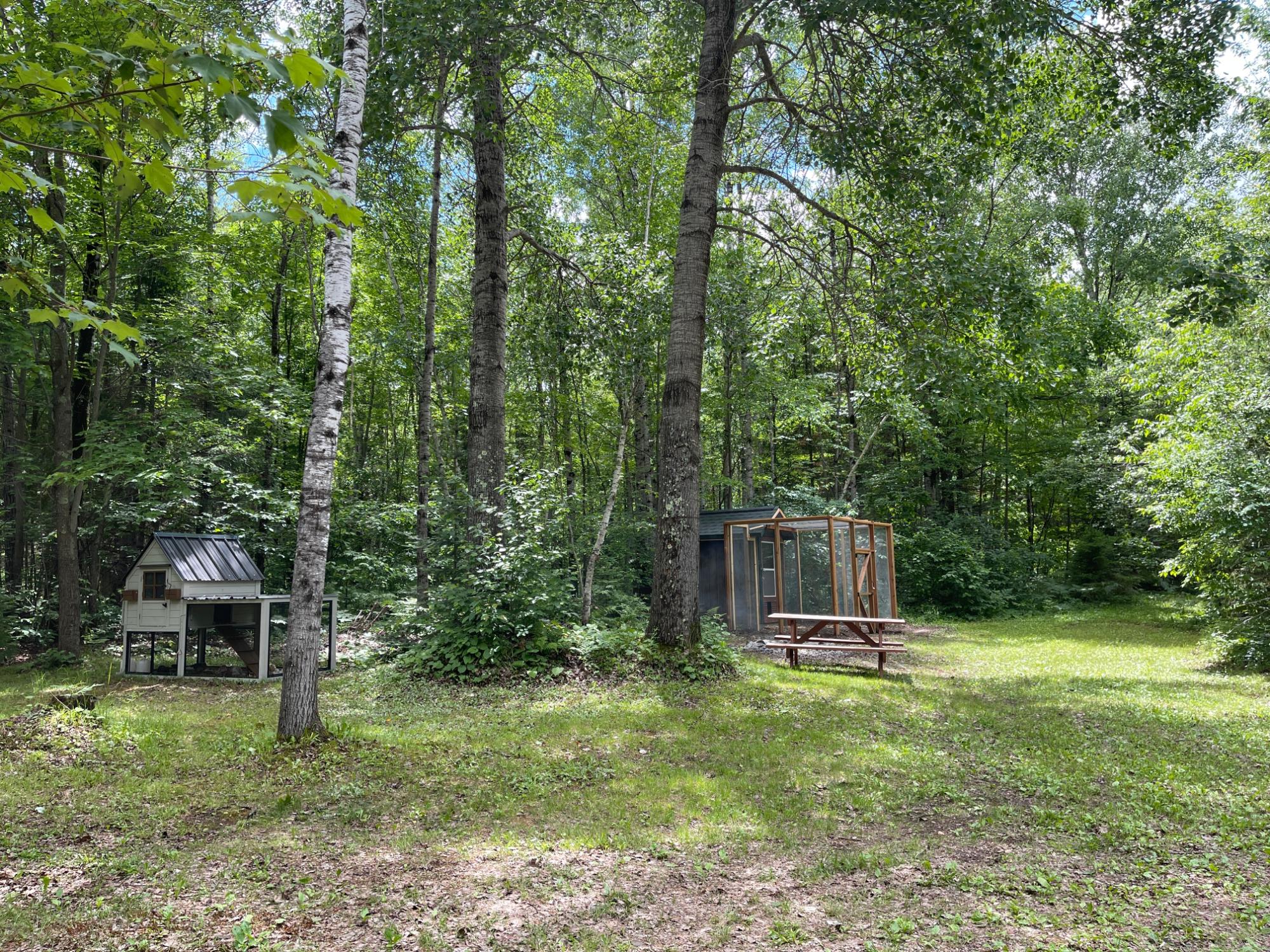 Musser Flowage Property W4741 Black Bear Ln Photo 35