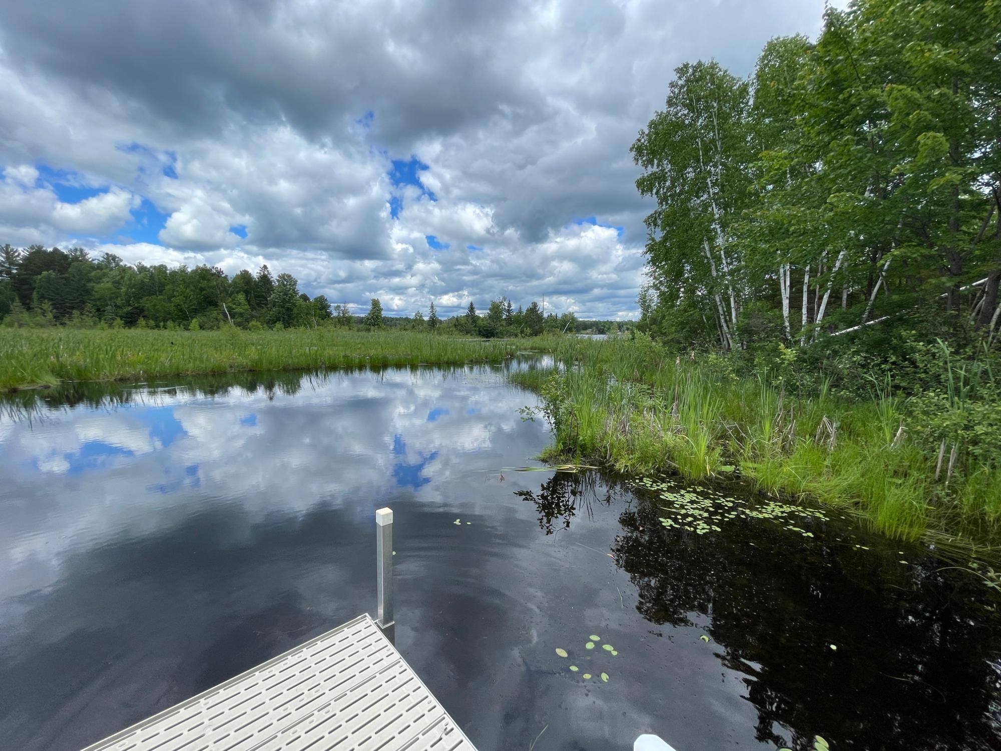 Musser Flowage Property W4741 Black Bear Ln Photo 41