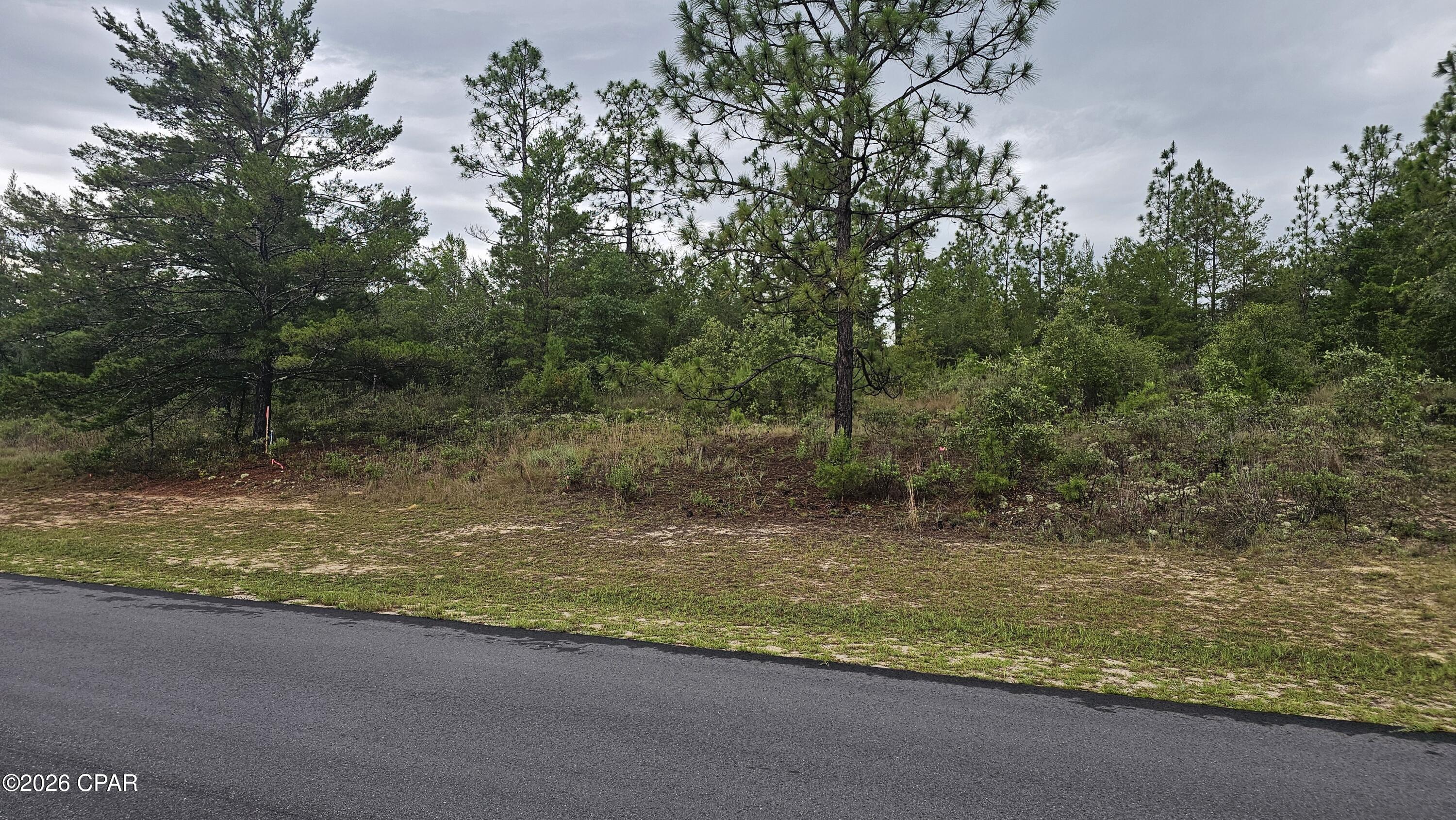 1st image of Lot 3 Deadening Rd, Chipley, FL 32428 | MLS# 791622