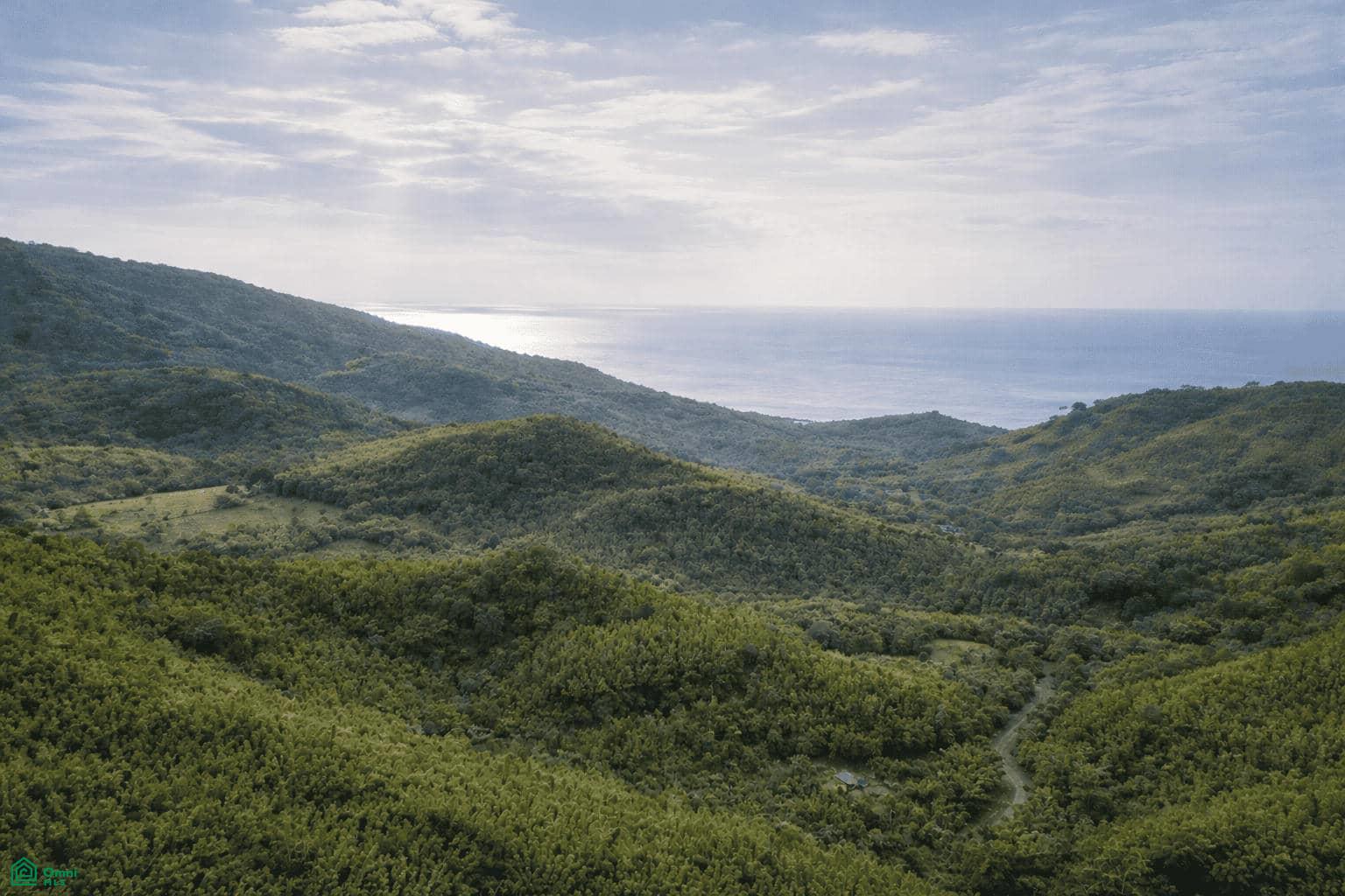 bed Land For Sale in Hojancha, Guanacaste - 1