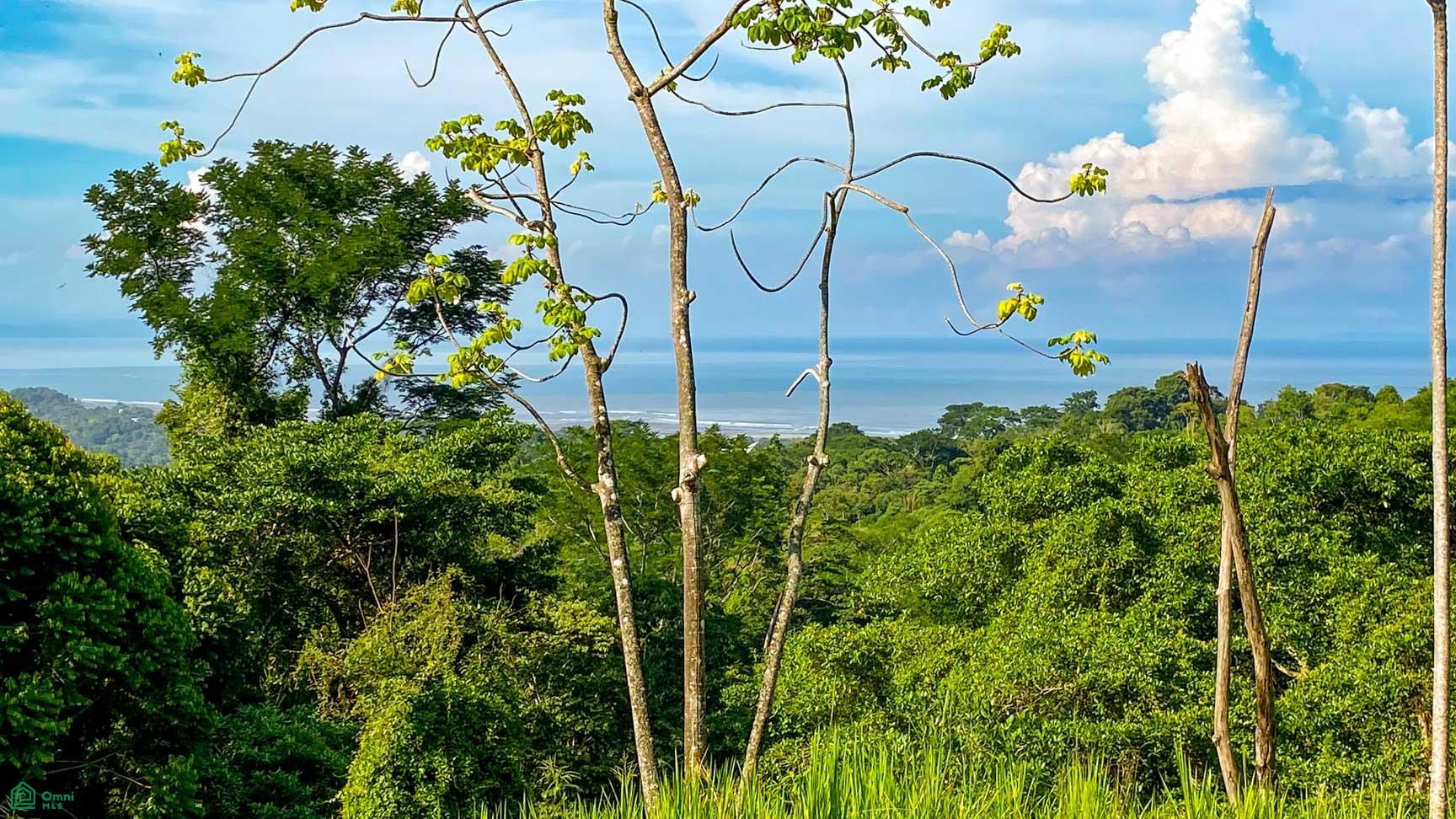  bed Land For Sale in Osa, Puntarenas - 1