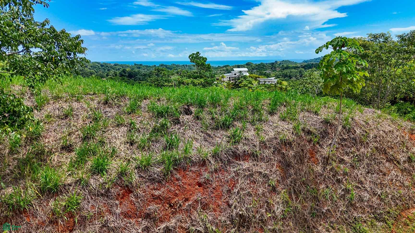  bed Land For Sale in Osa, Puntarenas - 1