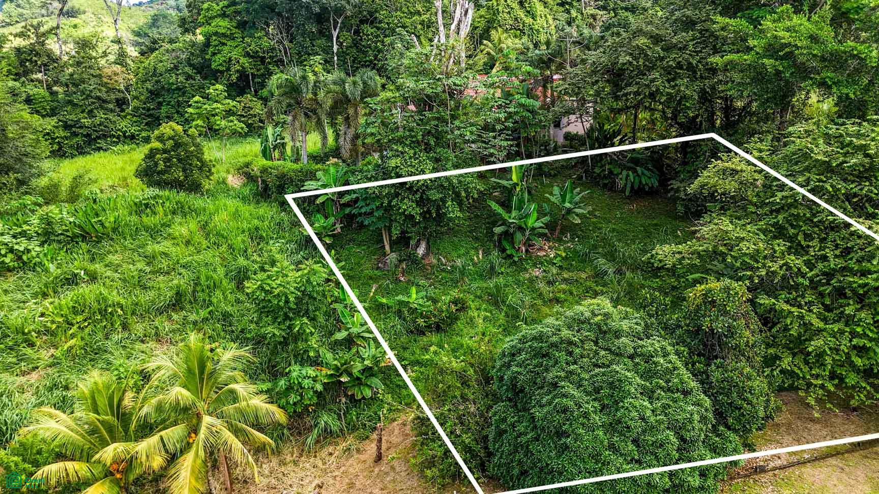  bed Land For Sale in Osa, Puntarenas - 1