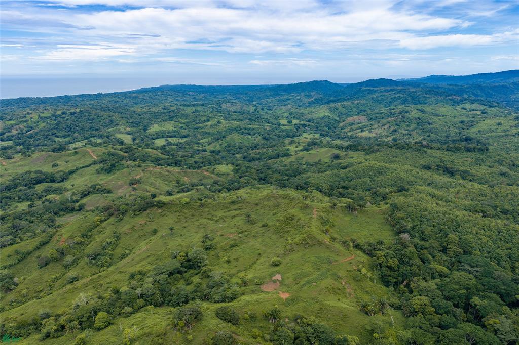  bed Land For Sale in Parrita, Puntarenas - 1