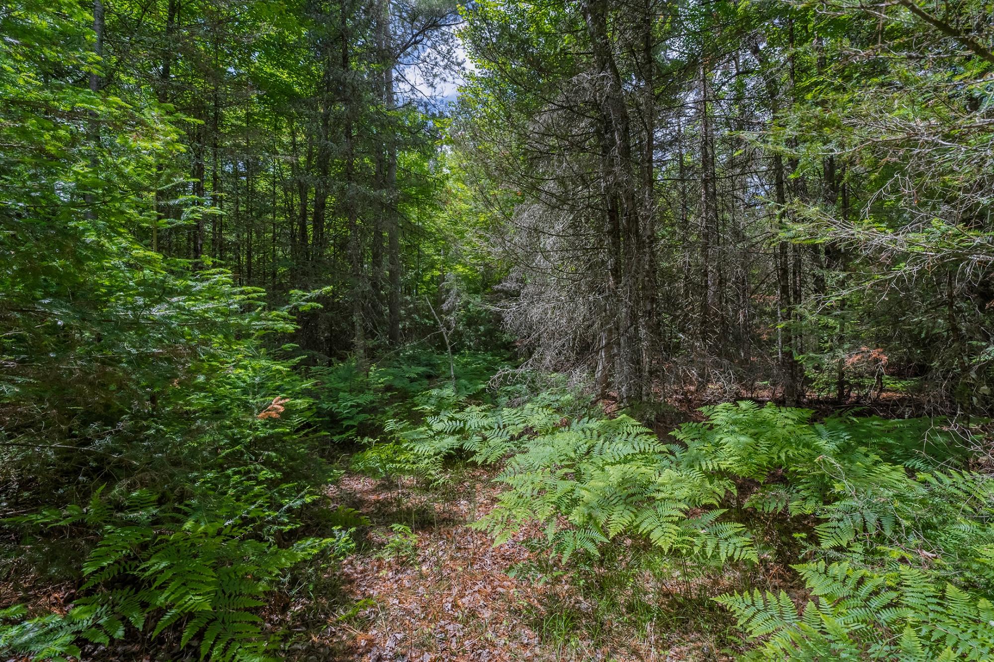 River Property Property Off Watersmeet Lake Rd Photo 13
