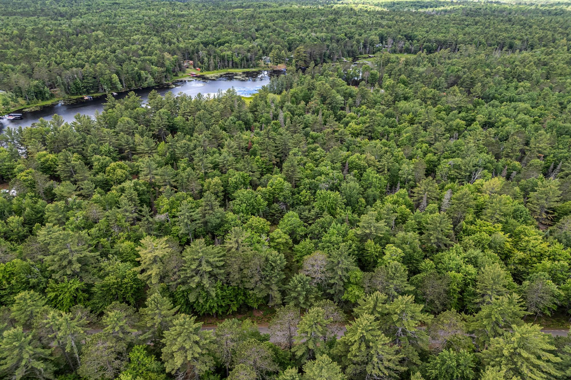 River Property Property Off Watersmeet Lake Rd Photo 20