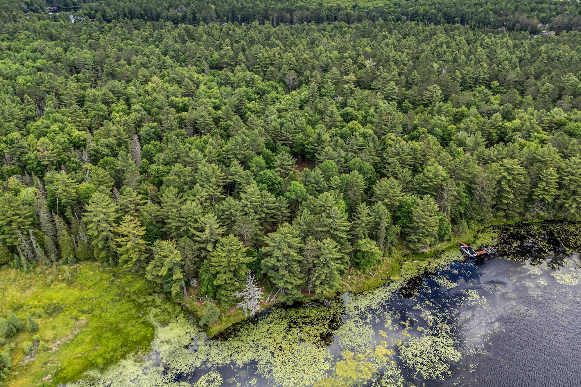 River Property Property Off Watersmeet Lake Rd Photo 21