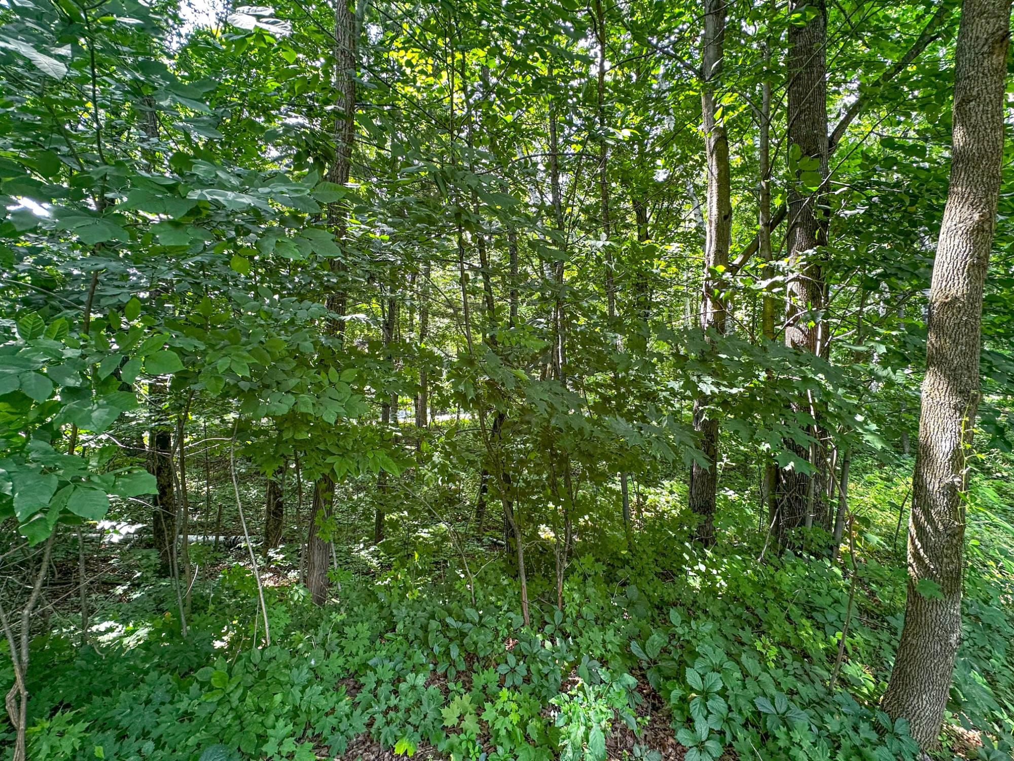 Undocumented Lake Property W7675 Cth W Photo 75