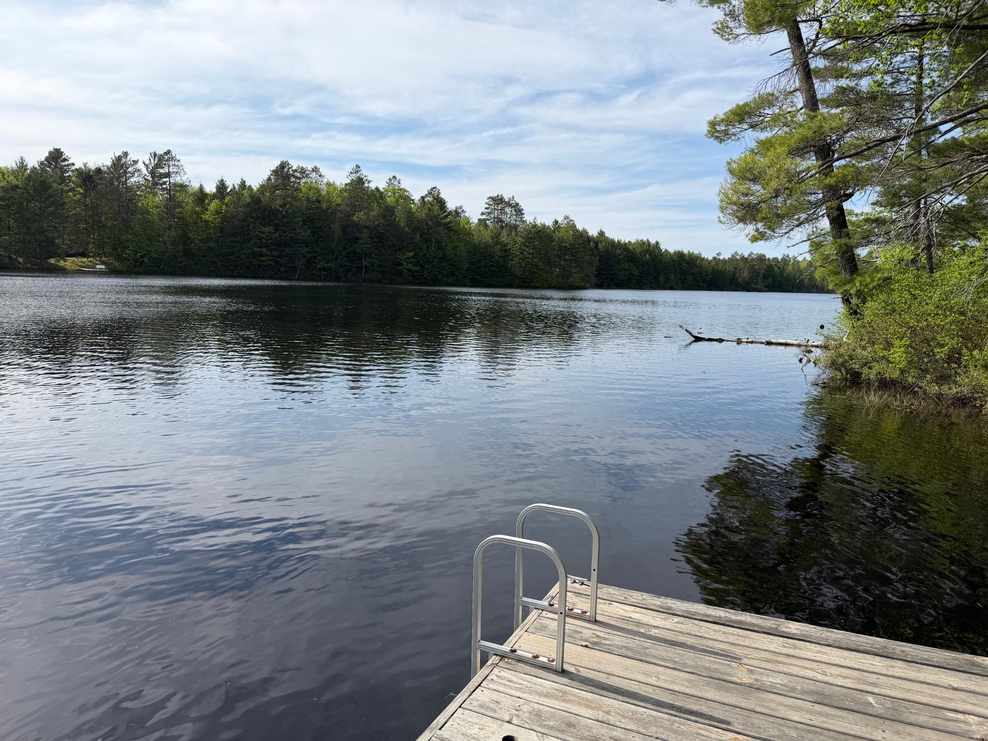 Ross Allen Lake Property 14896 Redpoll Ln Photo 51