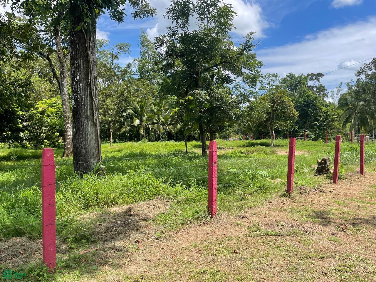  bed Land For Sale in Sarapiqui, Heredia - 1
