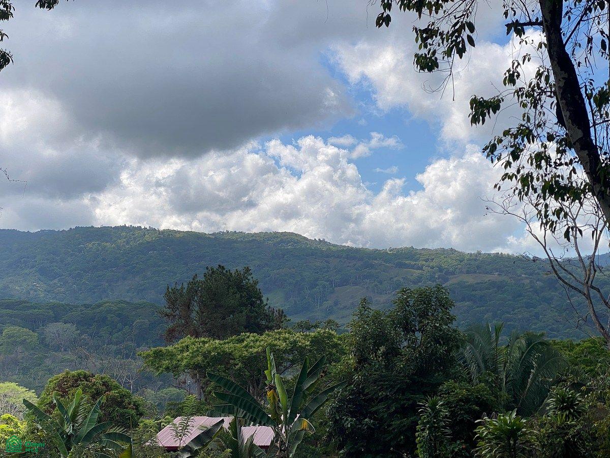 0 bed Land For Sale in Perez Zeledon, San Jose - 1