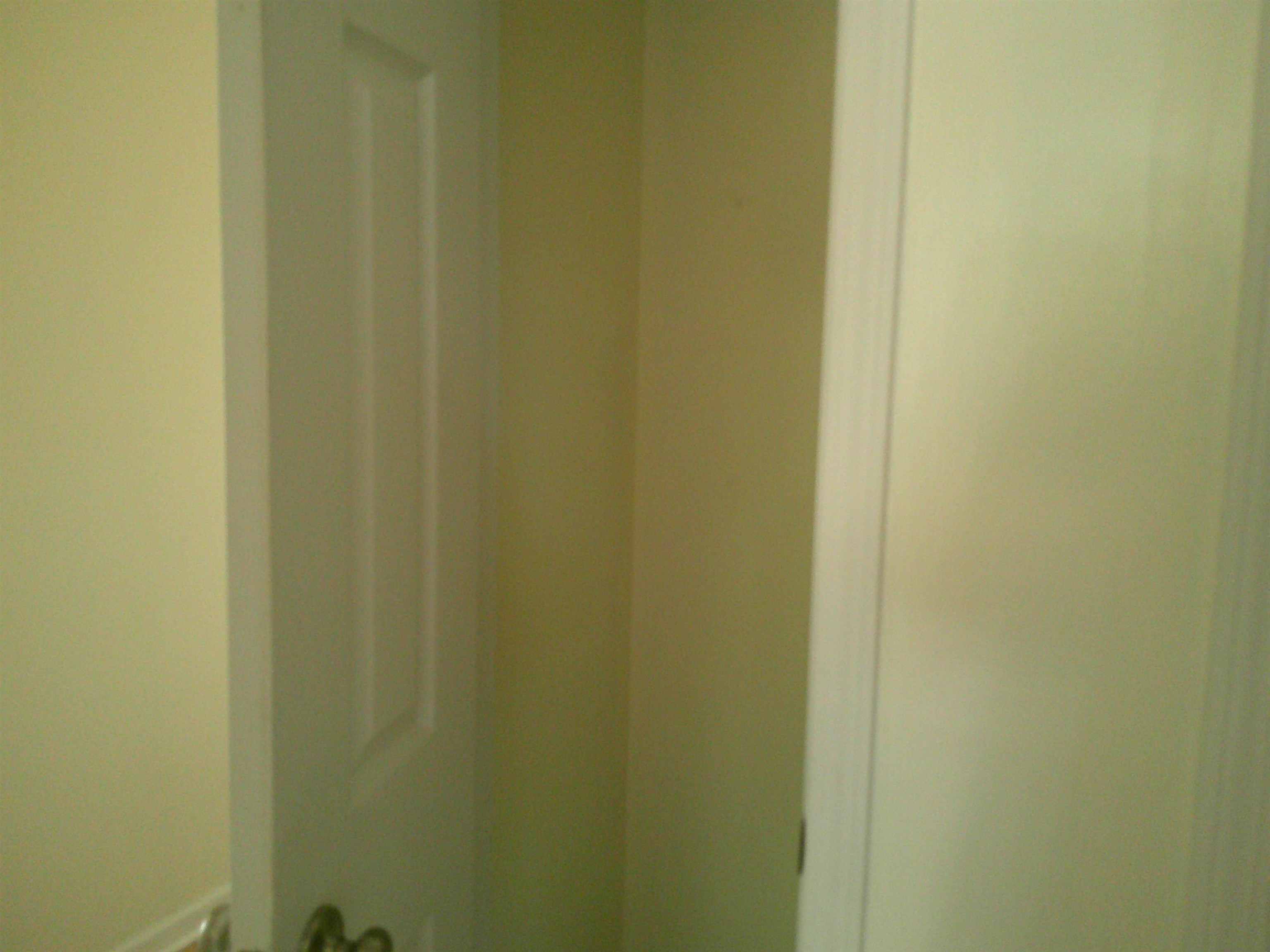2616146 | Photo 21