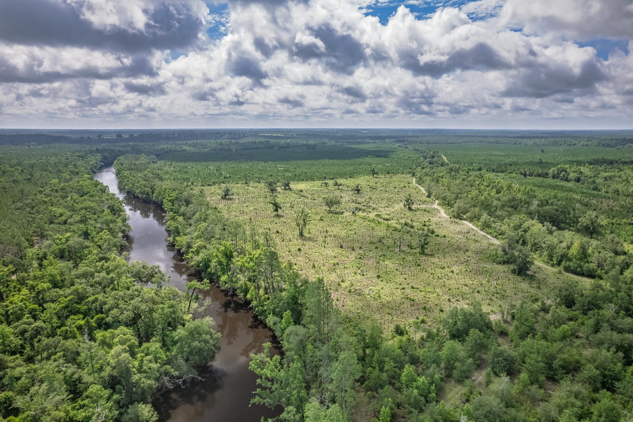 xxx NE Hickory Grove Road, Pinetta, FL 32350
