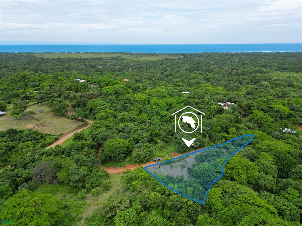  bed Land For Sale in Santa Cruz, Guanacaste - 1