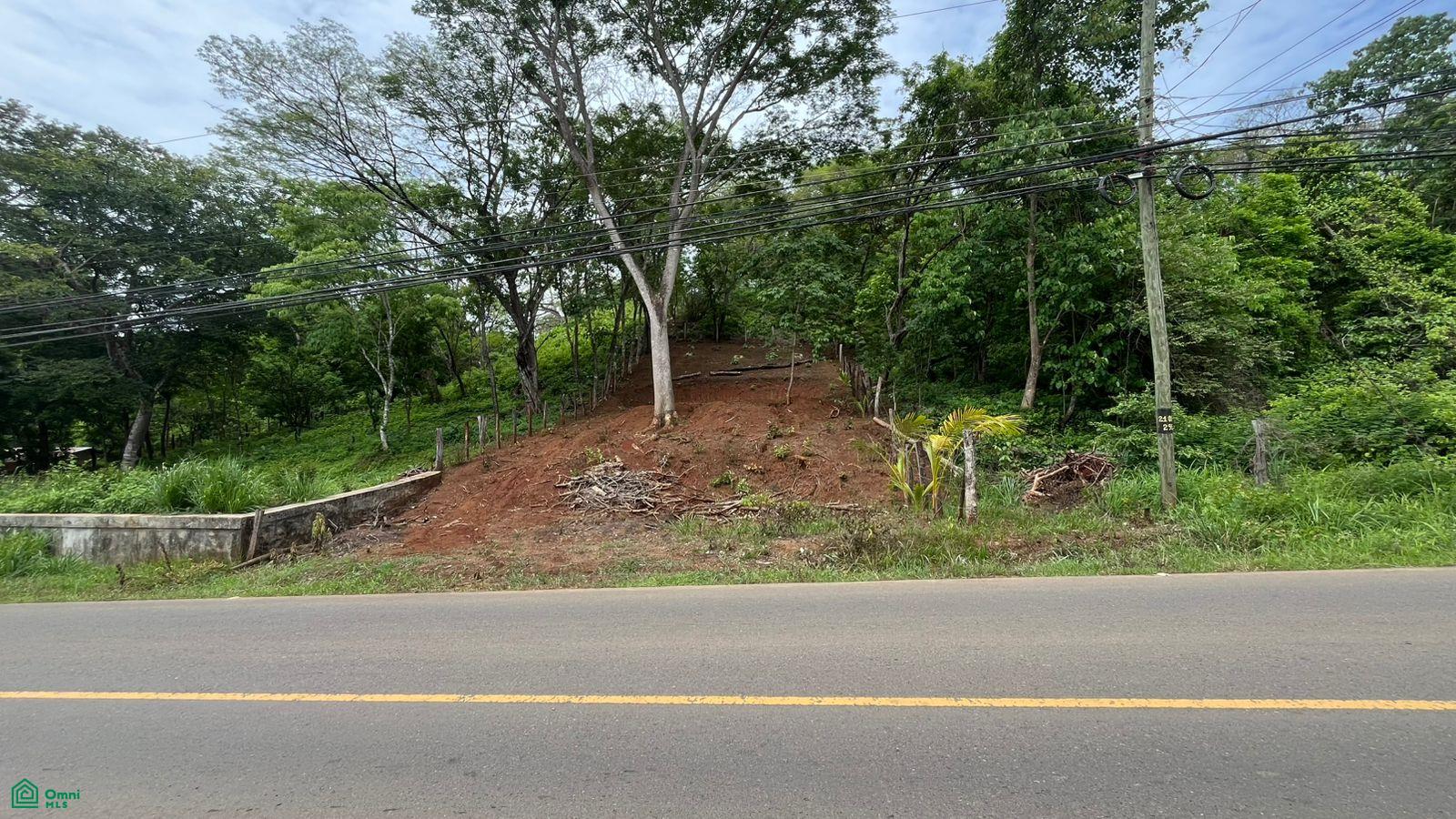  bed Land For Sale in Santa Cruz, Guanacaste - 1