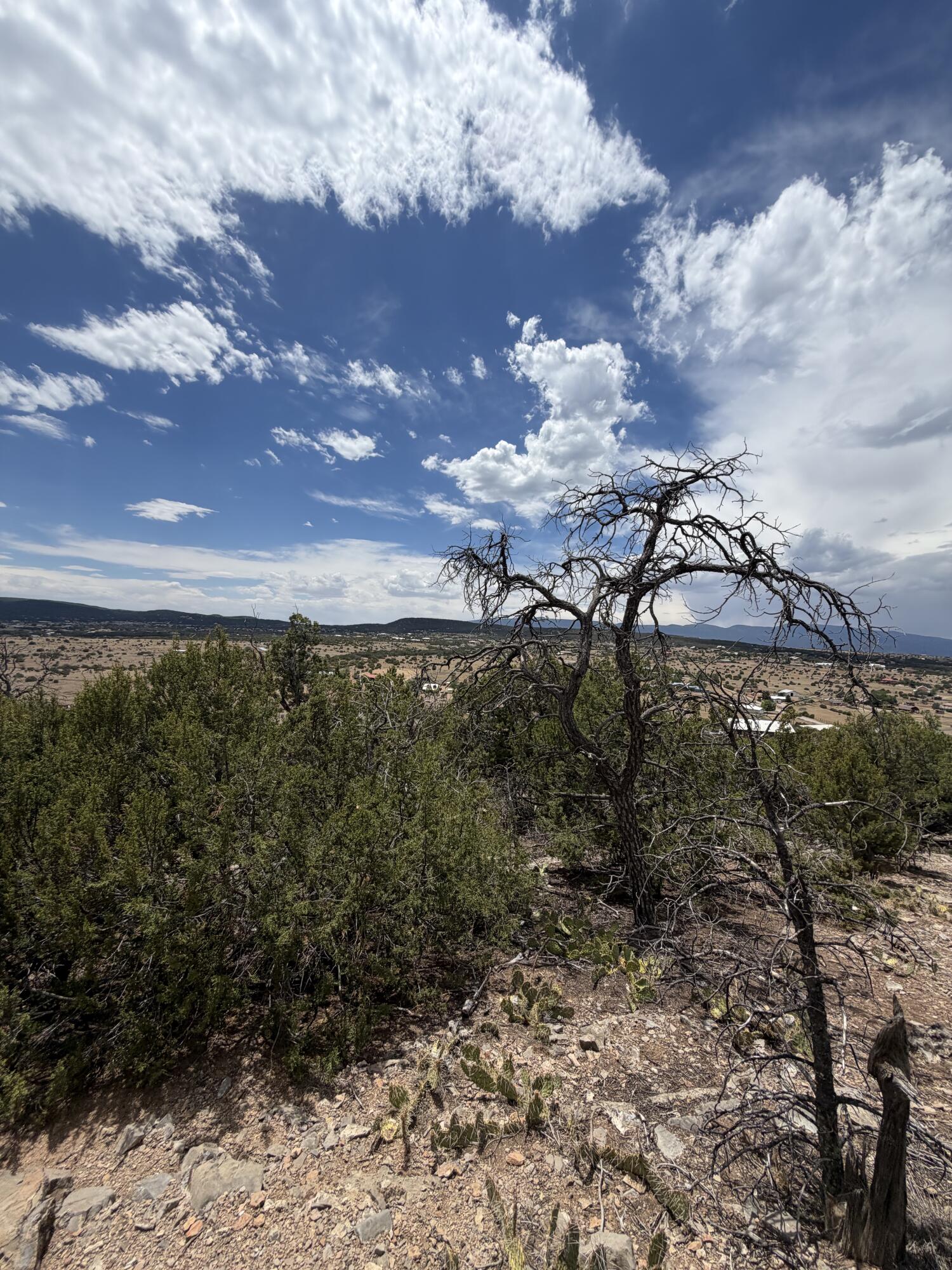20th image of 0 County Line Road, Edgewood, NM 87015 | MLS# 1106329