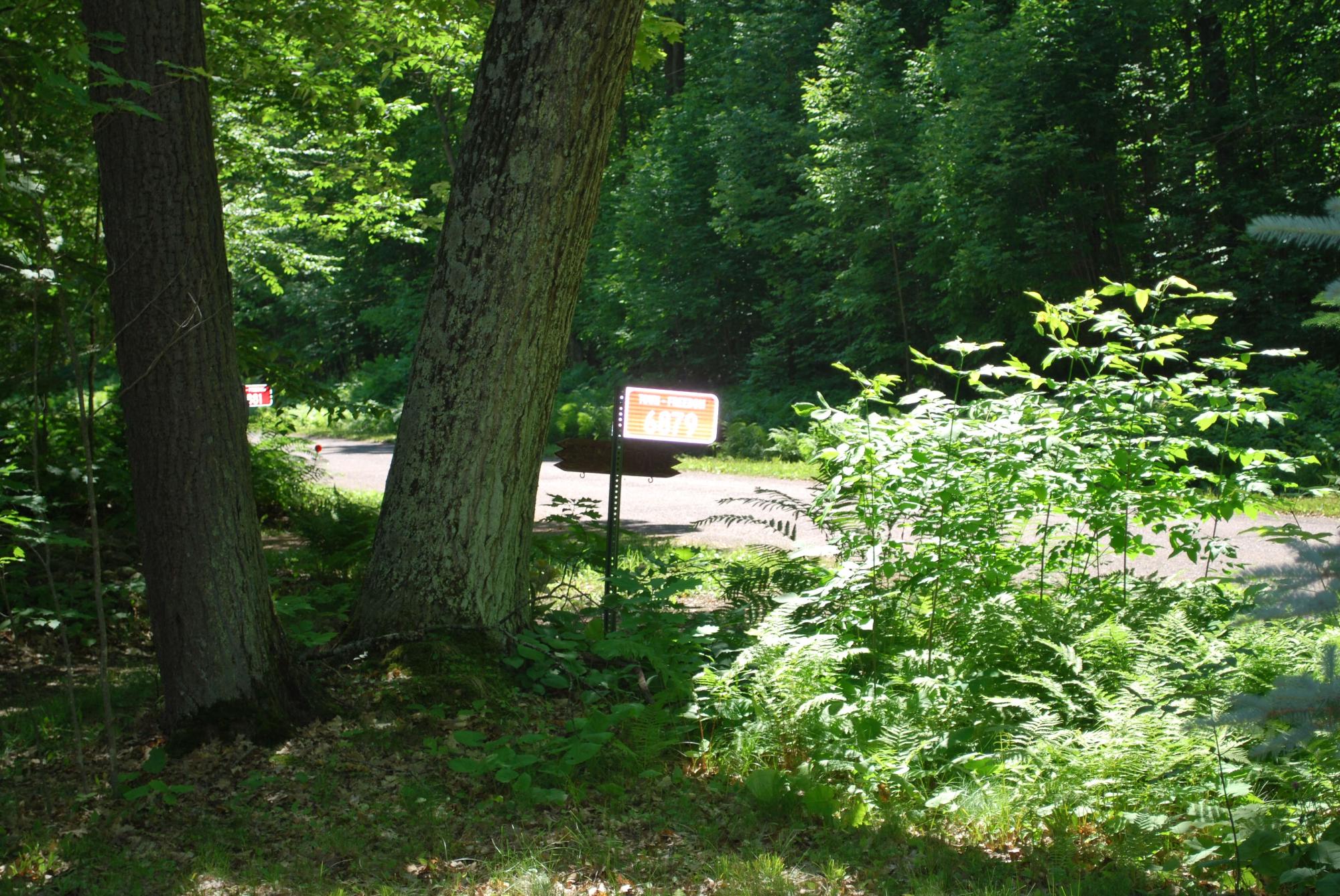 Little Long Lake Property 6879 Shore Dr N Photo 12