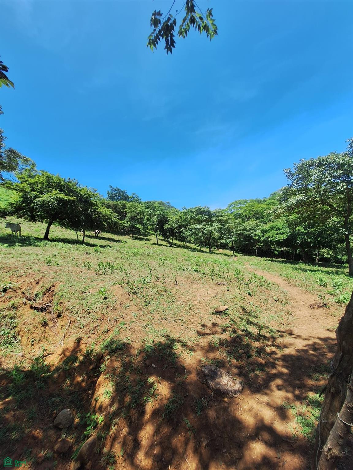  bed Land For Sale in La Cruz, Guanacaste - 1