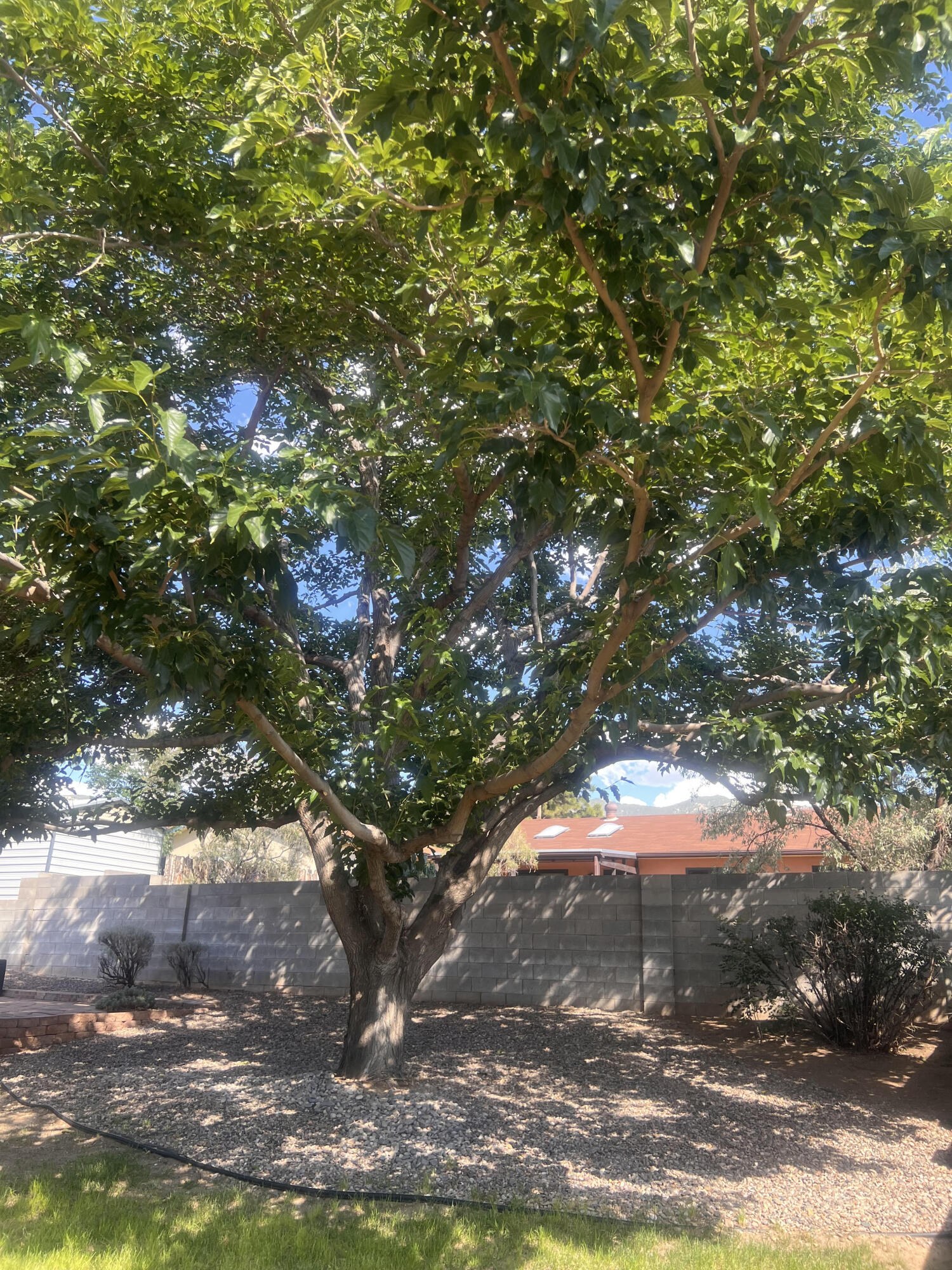 Photo 41 of Single family home for sale at 12200 Manitoba Dr Ne, Albuquerque, NM 87111 | MLS# 1106540 | Listing updated on 2026-09-10